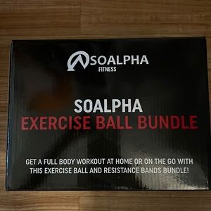 Exercise Ball with accessories resistance bands bundle